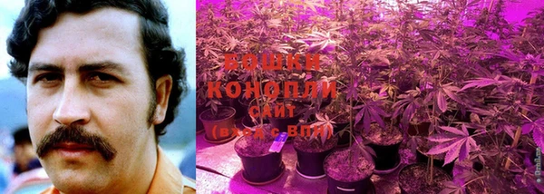COCAINE Дмитриев